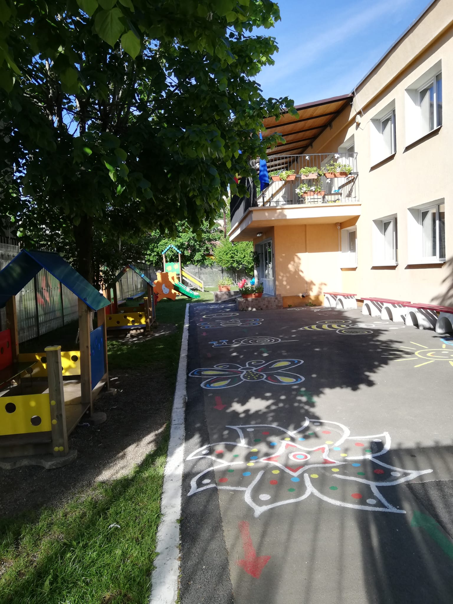 IMG-20220520-WA0005